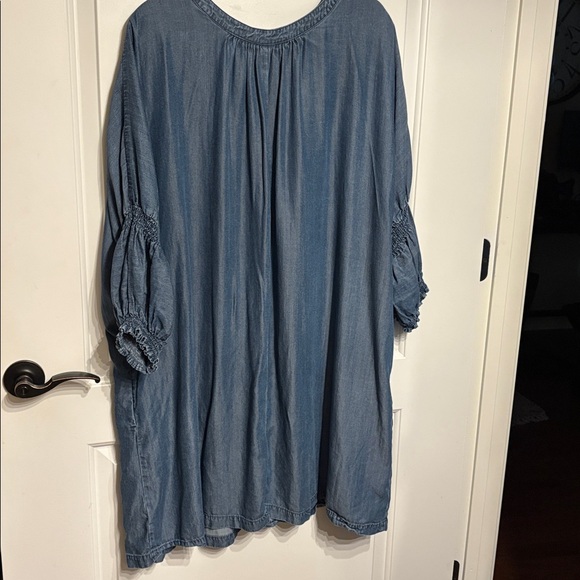 The Pioneer Woman Light Blue Denim Dress or Top. 3X Cottagecore. - Picture 5 of 10
